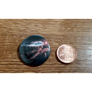 Scheibenwelt-Button - A'Tuin