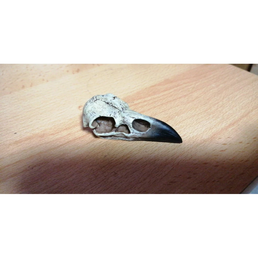 Anhänger Antiker Rabenschädel