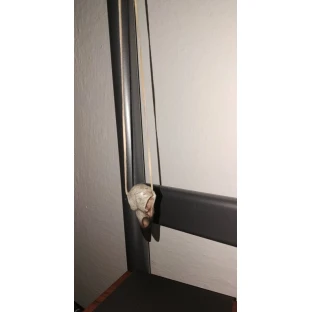 Anhänger Antiker Rabenschädel