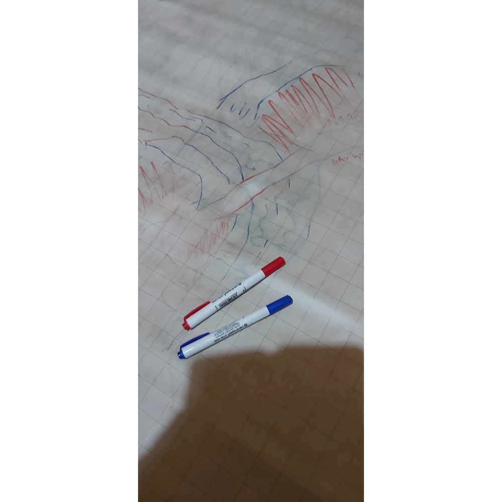 Set of washable markers