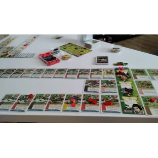 Settlers: Zrod impéria - My jsme si nezačali