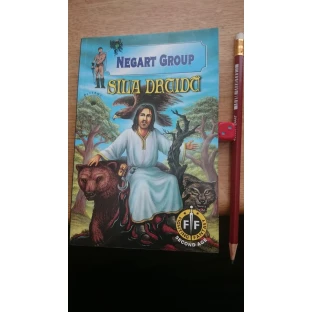 Síla druidů