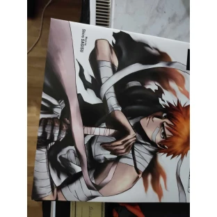 Bleach Soundtrack (2 LP)