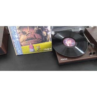 Howl's Moving Castle Soundtrack (2 LP)