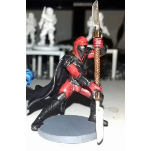 Star Wars: Imperial Assault - Royal Guard Champion Villain Pack