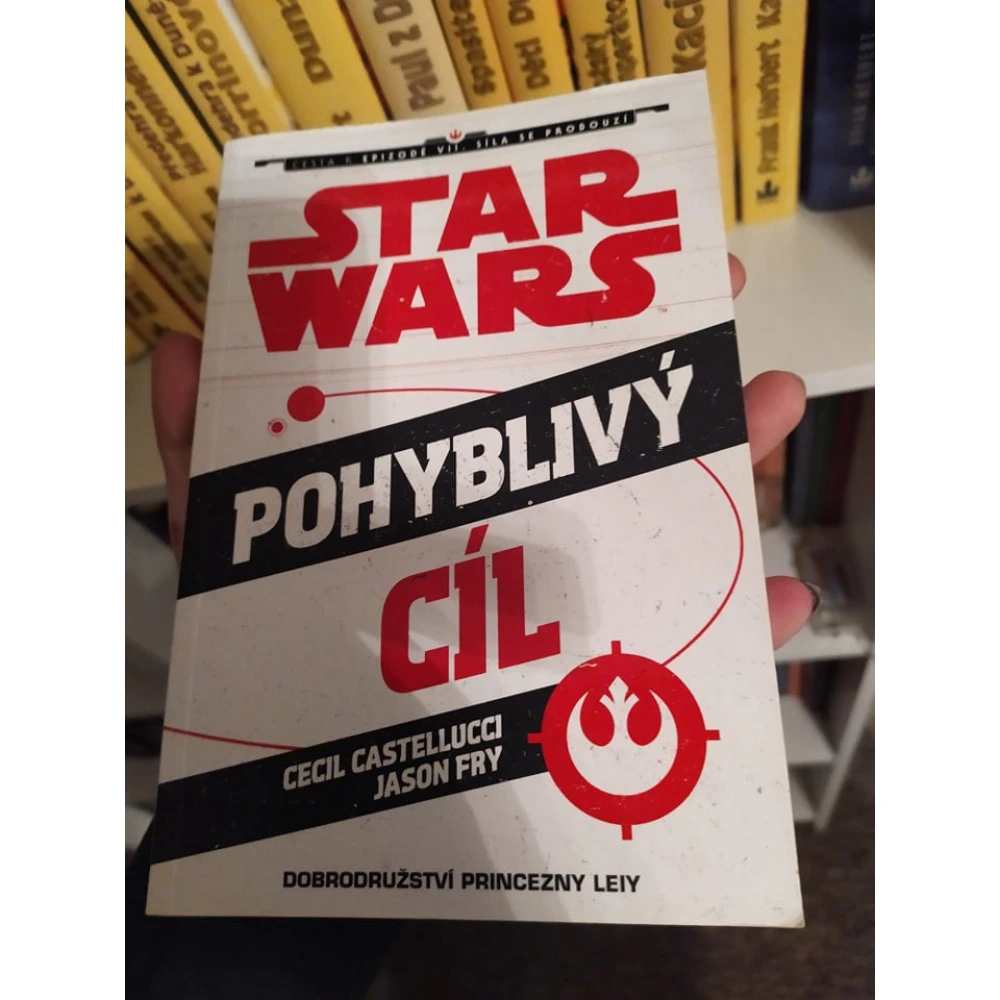Pohyblivý cíl
