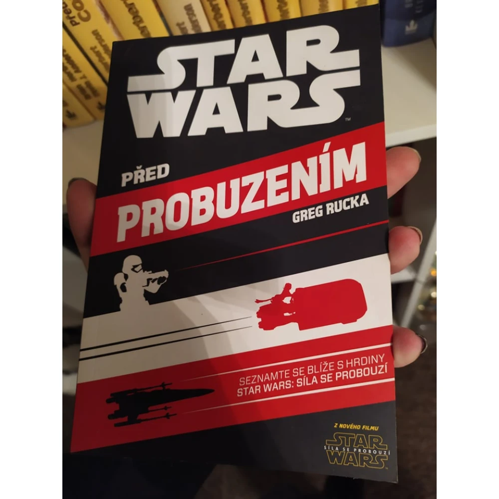 Před probuzením