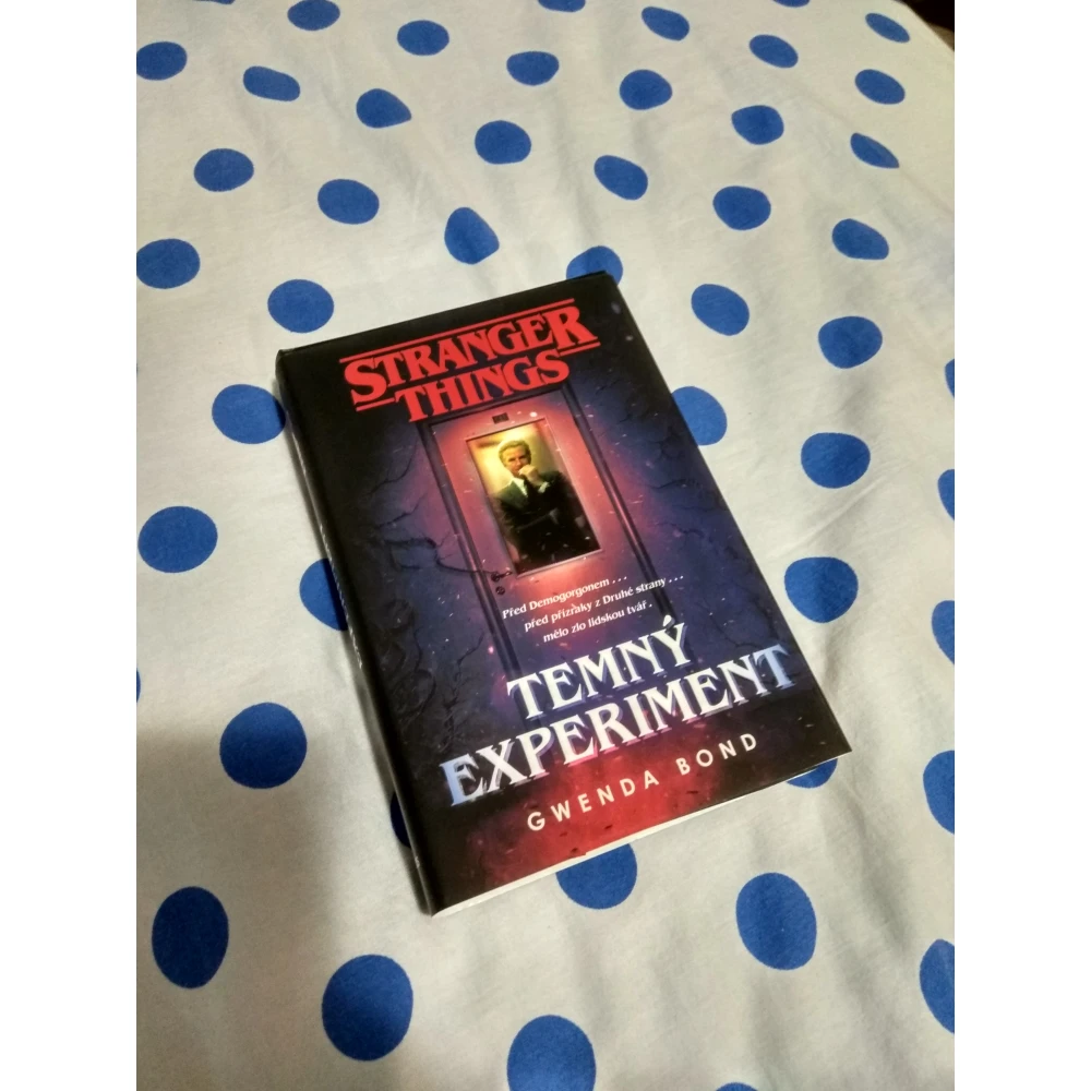 Stranger Things: Temný experiment