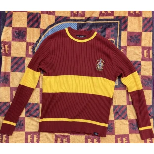 Harry Potter Pullover: Gryffindor - Quidditch