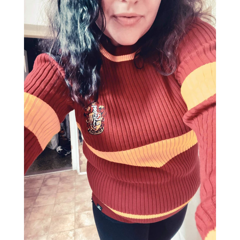Harry Potter Pullover: Gryffindor - Quidditch