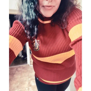 Harry Potter Pullover: Gryffindor - Quidditch