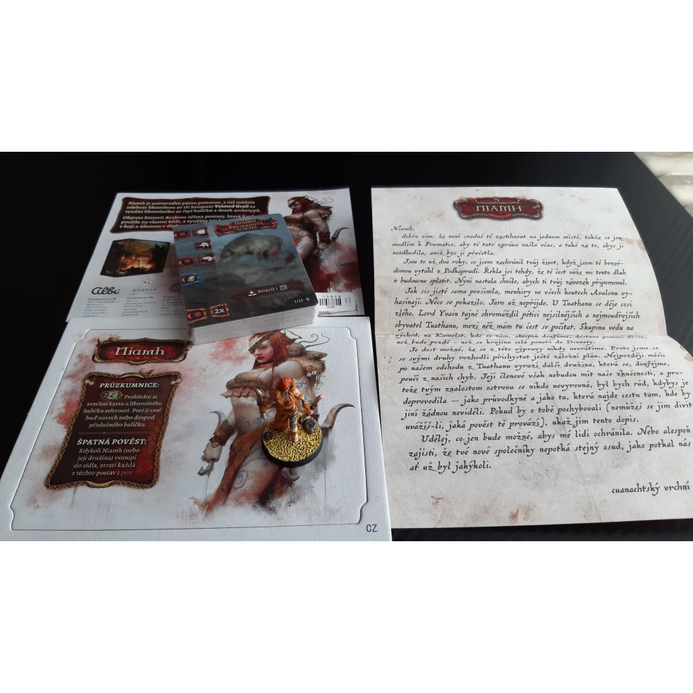 Tainted Grail: Niamh