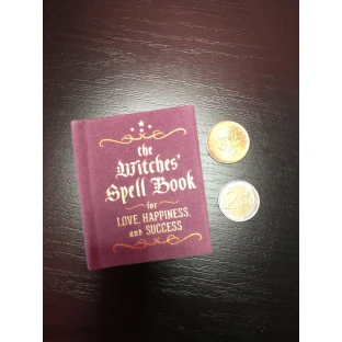 The Witches' Spell Book: For Love, Happiness, and Success