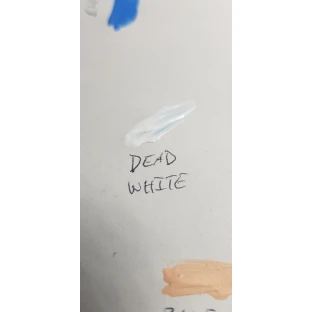 Vallejo: Game Color Dead White