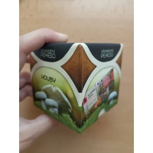 Vědomostní pexeso: Houby
