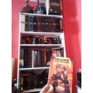 Warcraft: Legendy 1