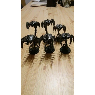 Warhammer 40,000: Necron Canoptek Wraiths