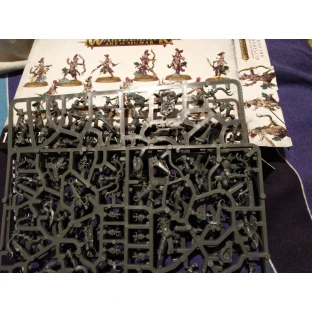 Warhammer Age of Sigmar: Blissbarb Archers