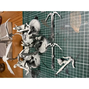 Warhammer: Age of Sigmar - Stormcast Eternals Vanguard-Raptors
