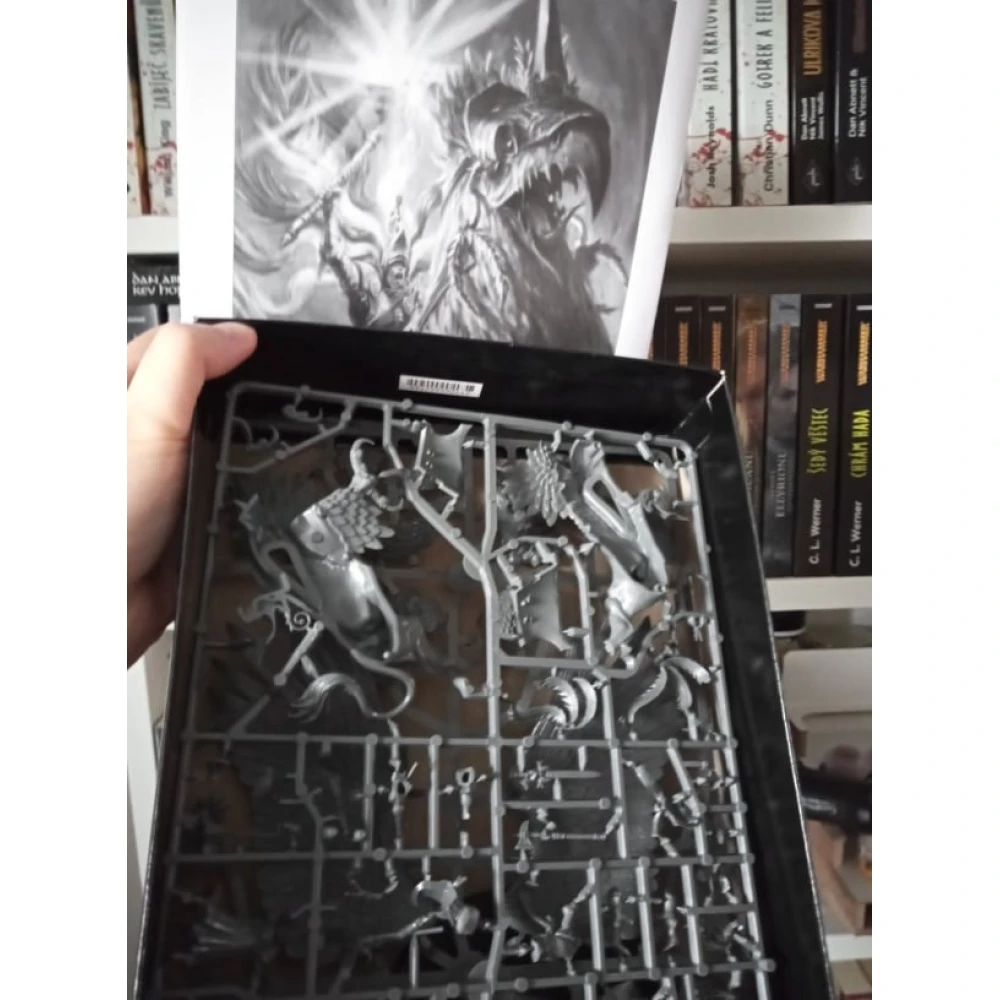 Warhammer Fantasy Battle: Freeguild General / Battlemage on Griffon