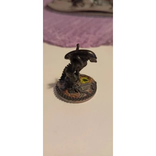Warpaints Gloss Varnish