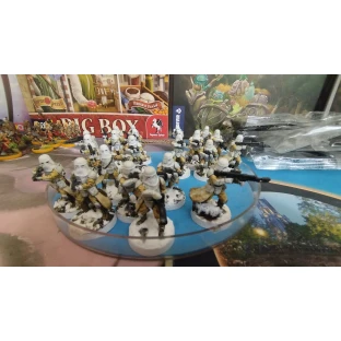 Warpaints Gloss Varnish