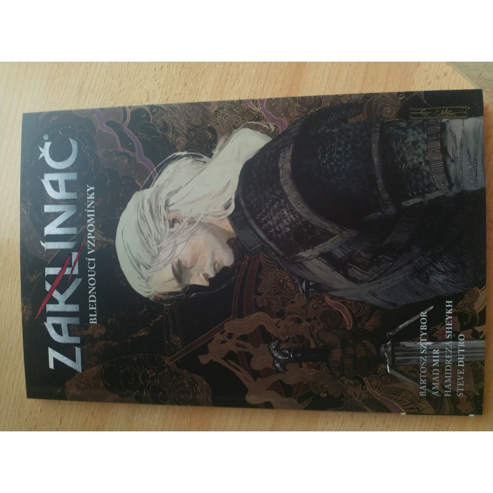 Zaklínač: Blednoucí vzpomínky