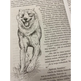 Zaklínač VI - Věž vlaštovky (vázaná)