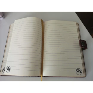Harry Potter Notebook - Quidditch