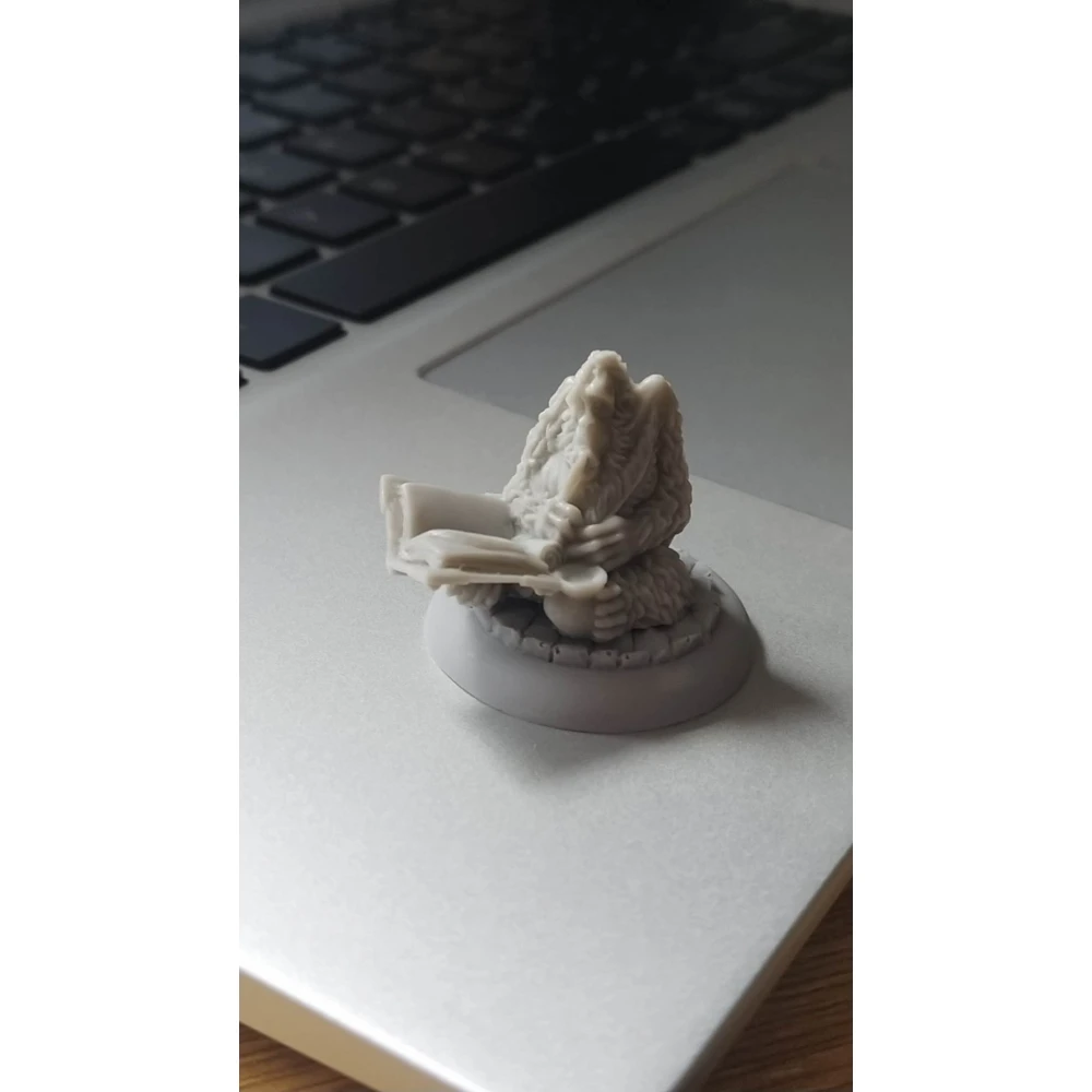 Scheibenwelt: Figur Bibliothekar