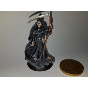 Discworld: Death and Death of Rats Miniature