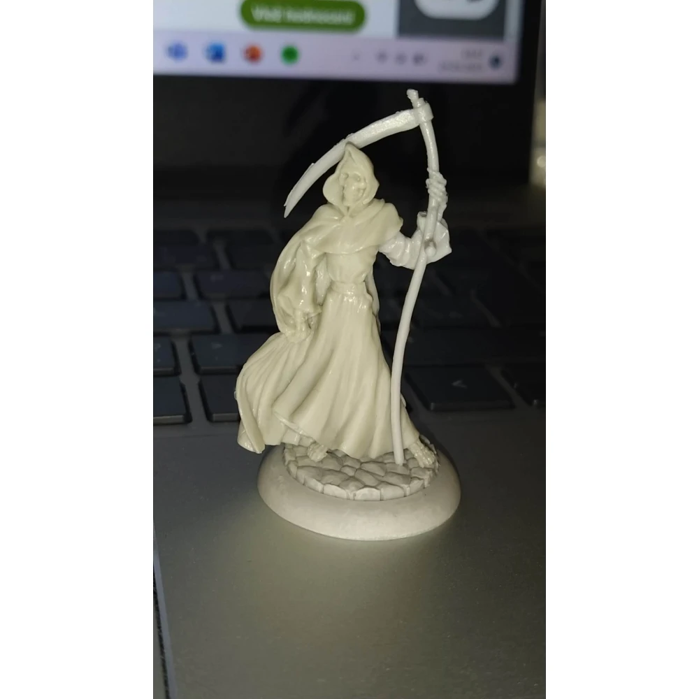 Discworld: Death and Death of Rats Miniature