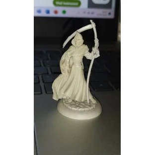 Discworld: Death and Death of Rats Miniature