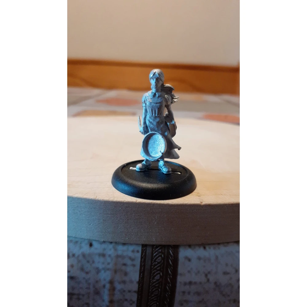 Discworld: Tiffany Aching Miniature