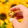 Dice Set: Full Art Dice Set - Sunflower
