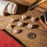 Witcher Würfelset - Vesemir Würfel