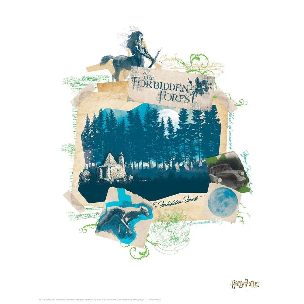 Sada litografií Harry Potter, 10 ks