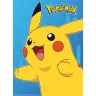 Poster Set - Pokémon (2 pcs)