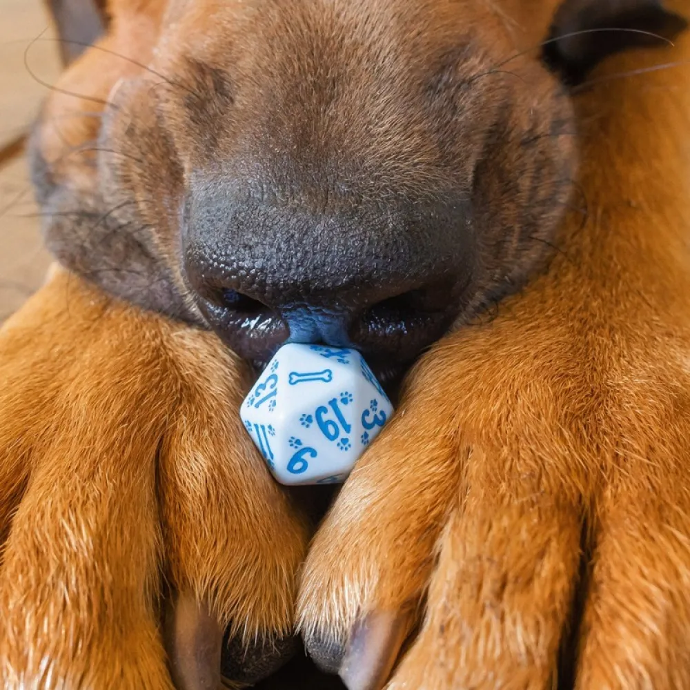 Dog Dice Set