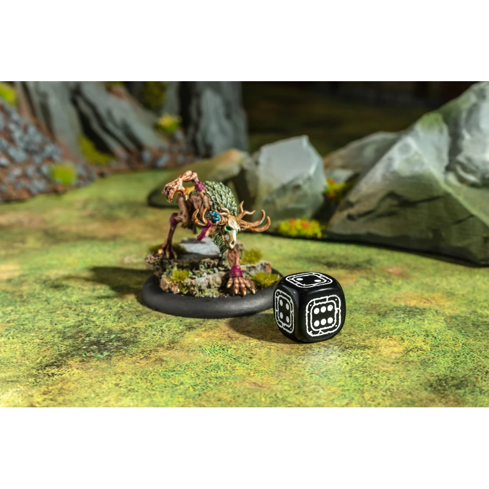 Fortress Compact D6 Dice Set (20 pcs)