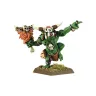 Warhammer Fantasy Battlle: Savage Orc Shaman