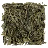 Sencha Vanilla