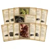 Warhammer Battle Magic: Skaven