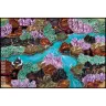 Small World: 6 Player Board
