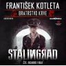 Stalingrad - Bratrstvo krve (audiokniha)