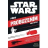 Před probuzením