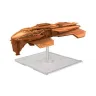 Star Trek: Attack Wing - Halik Raider