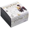 Harry Potter Silberohrringe - Blitz und Brille (Ag 925)