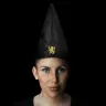 Harry Potter Studentenmütze - Gryffindor