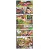 Takenoko: Panďátka